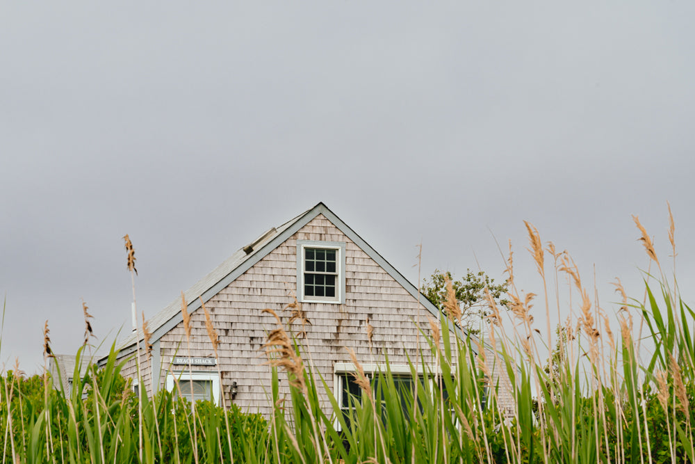 Beach Shack