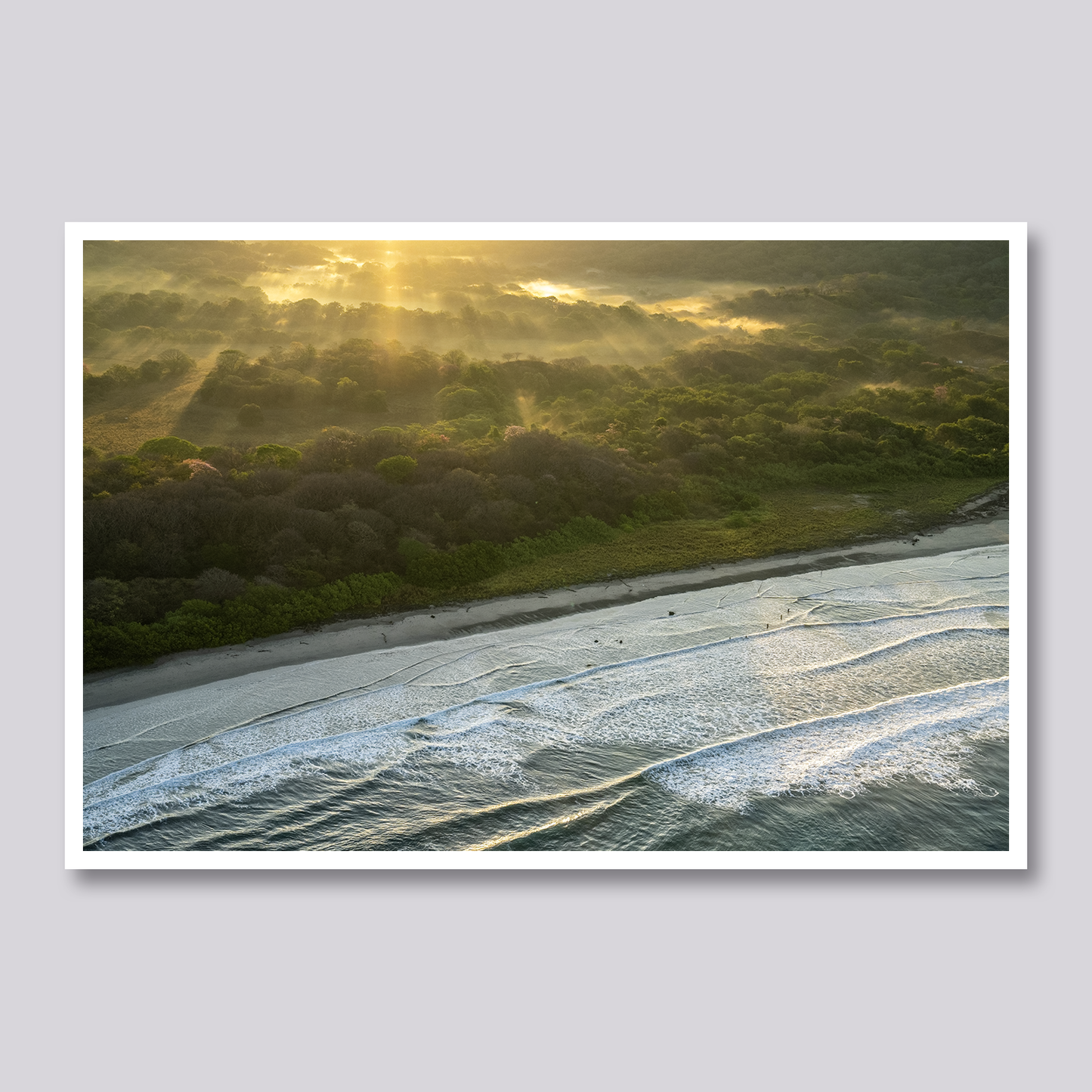 Ocean Morning Light