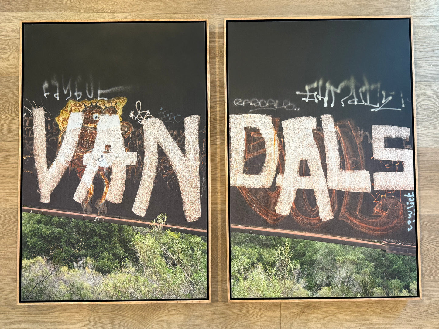 VAN-DALS