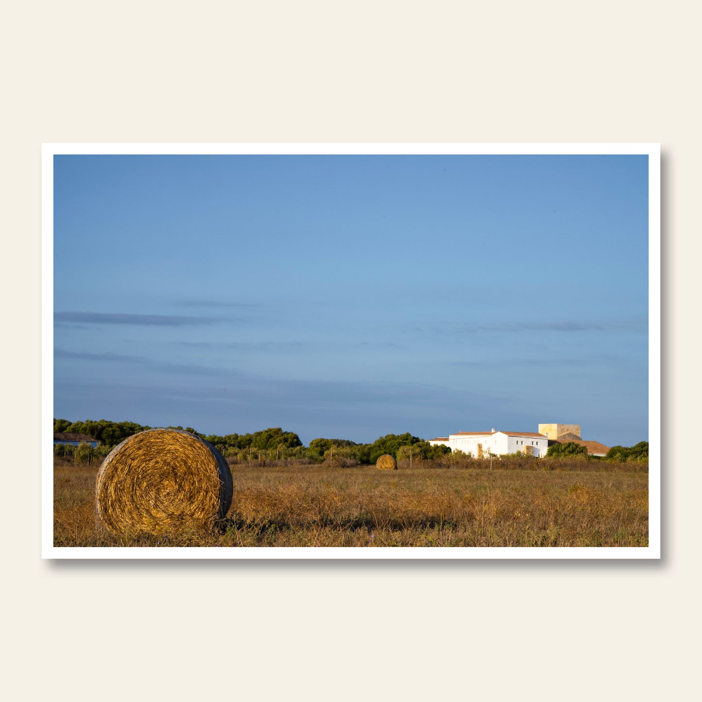 Agrarian Dawn