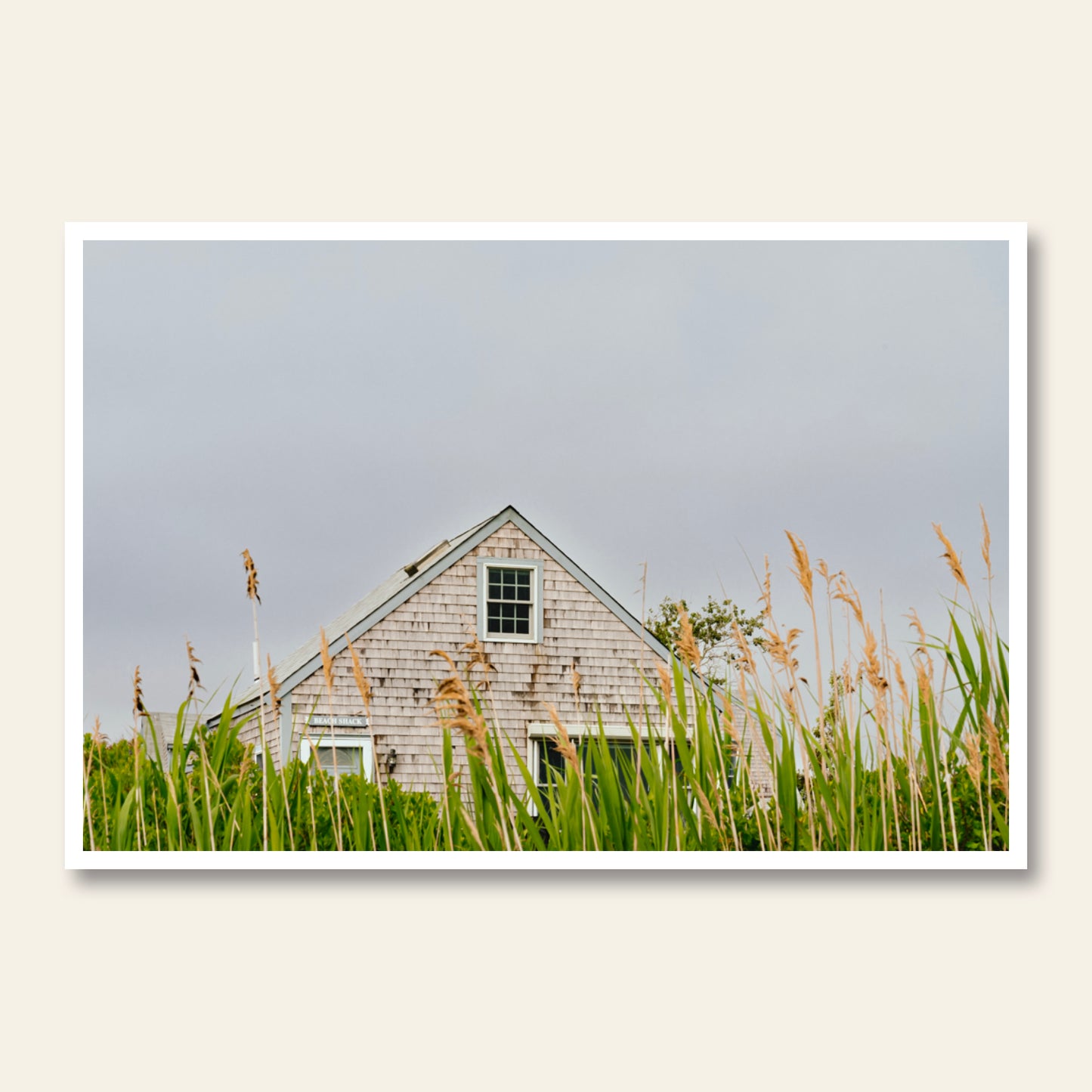 Beach Shack