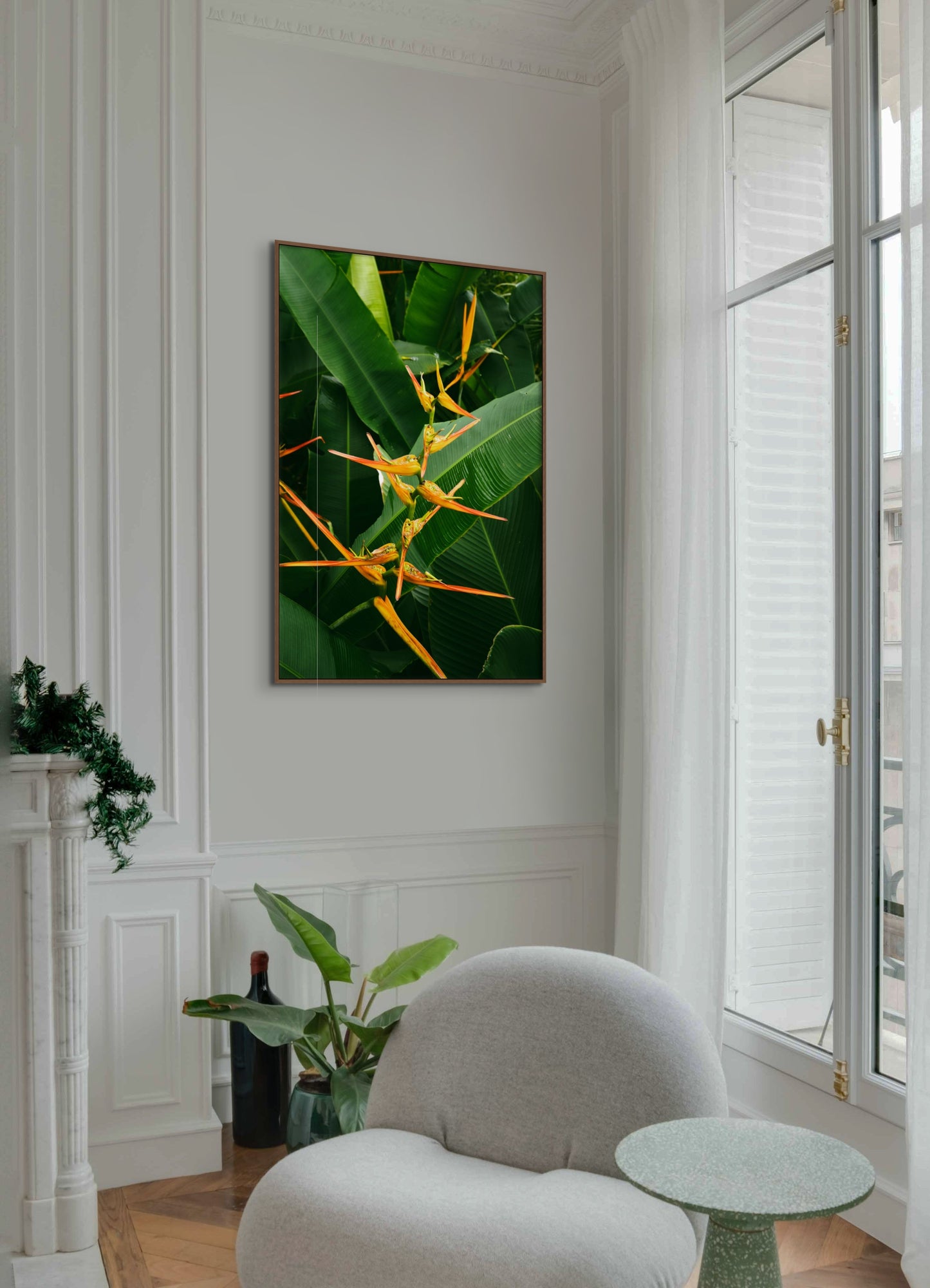 Bird of Paradise