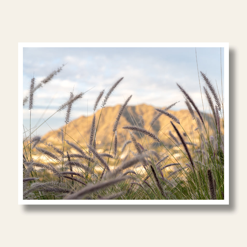 Camelback Mountain Landscape