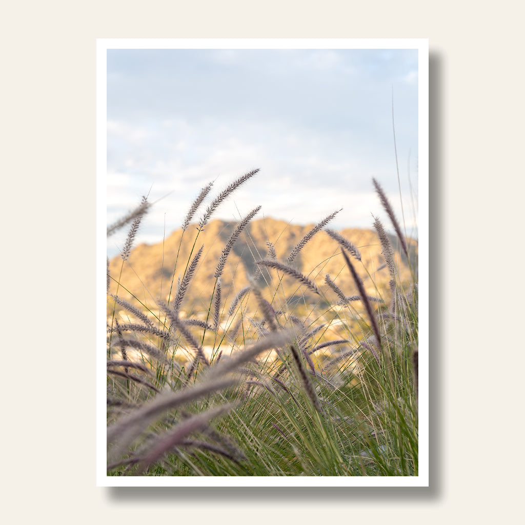 Camelback Mountain Portrait