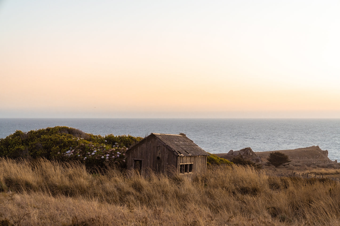 Driftwood Haven