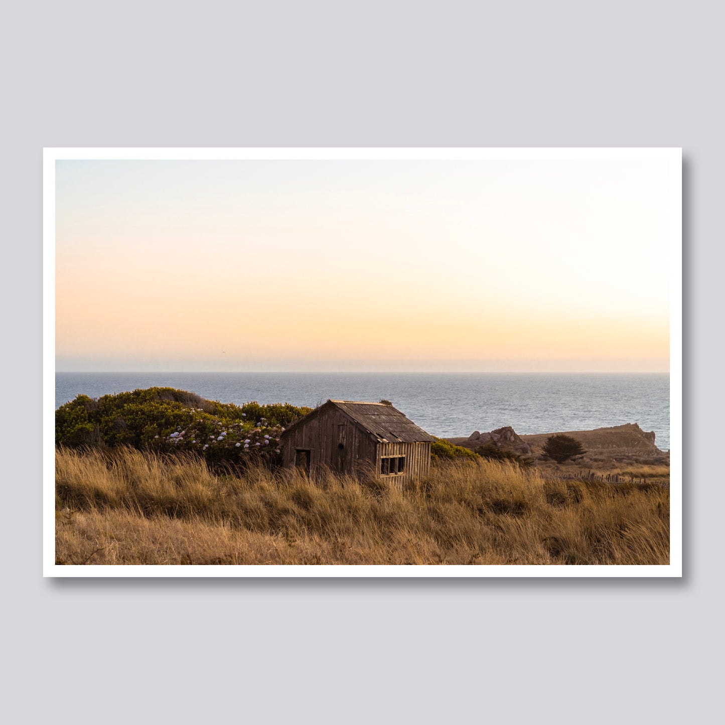 Driftwood Haven