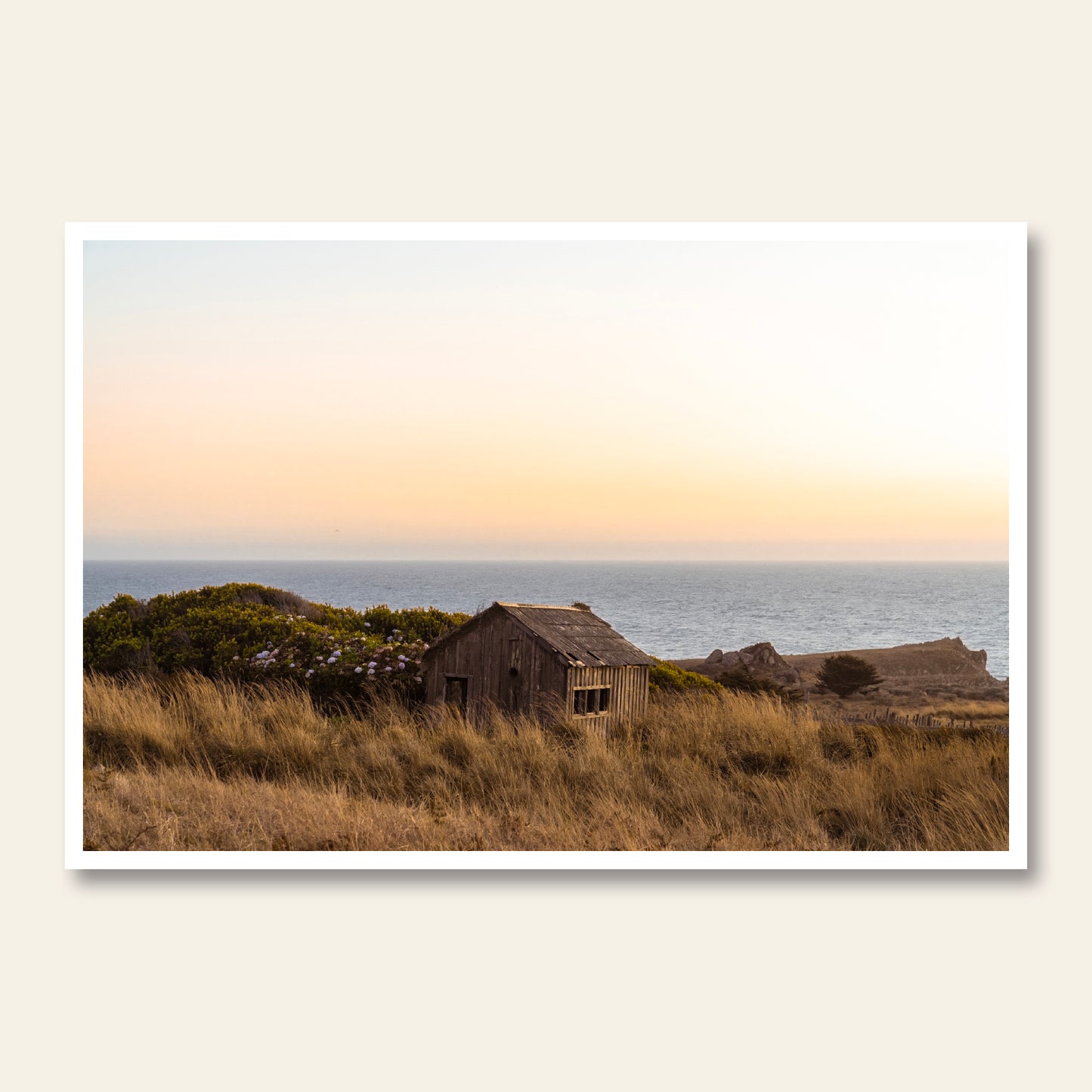 Driftwood Haven