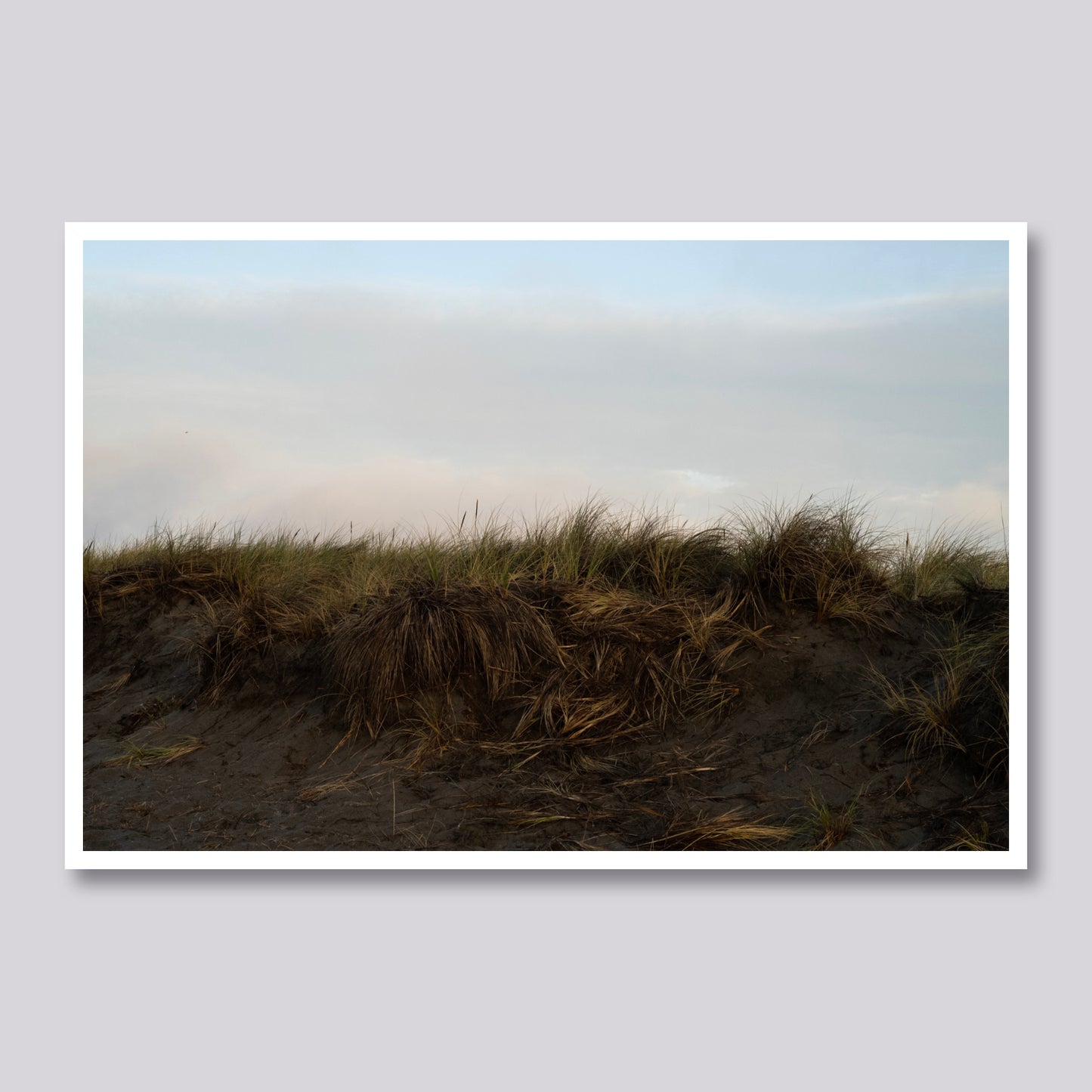Dunes at Dusk