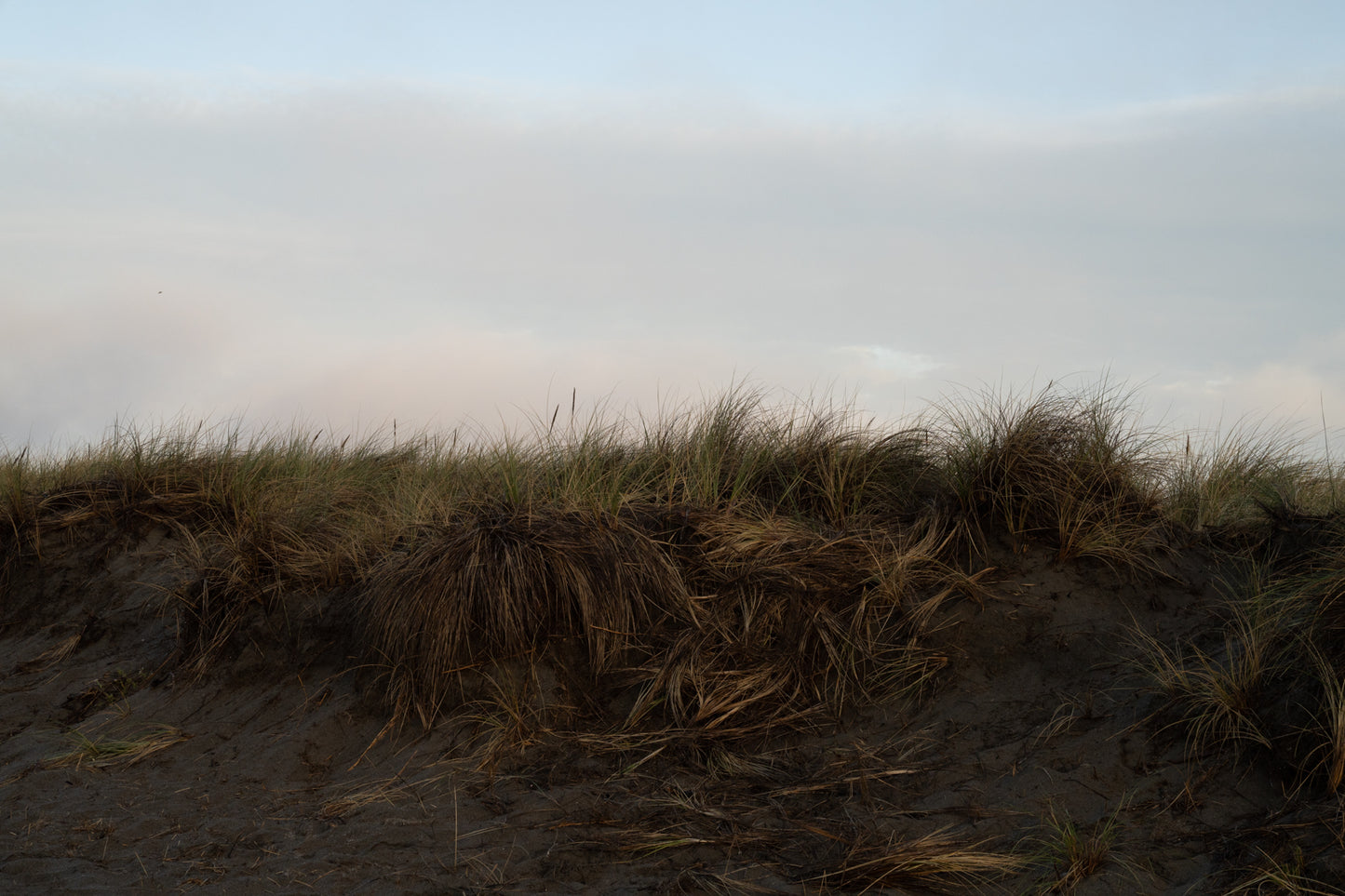 Dunes at Dusk