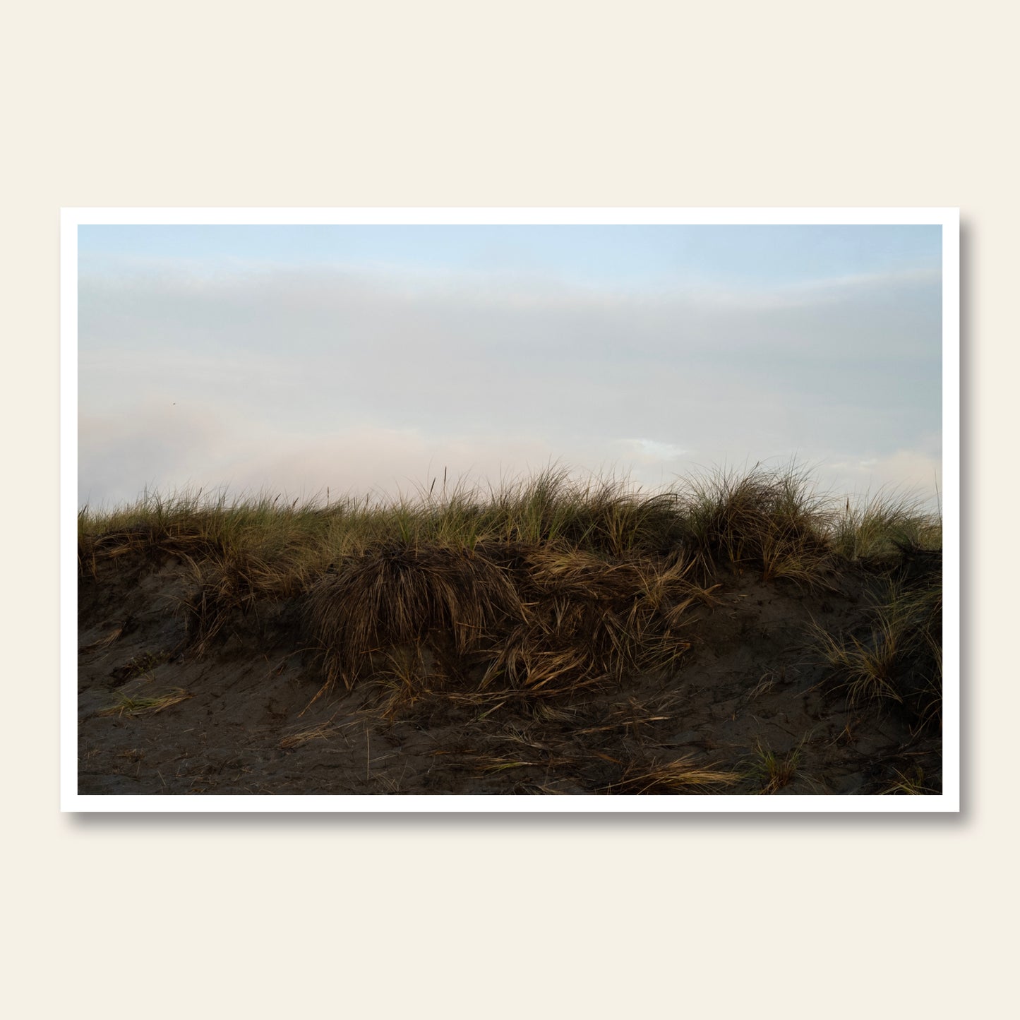 Dunes at Dusk