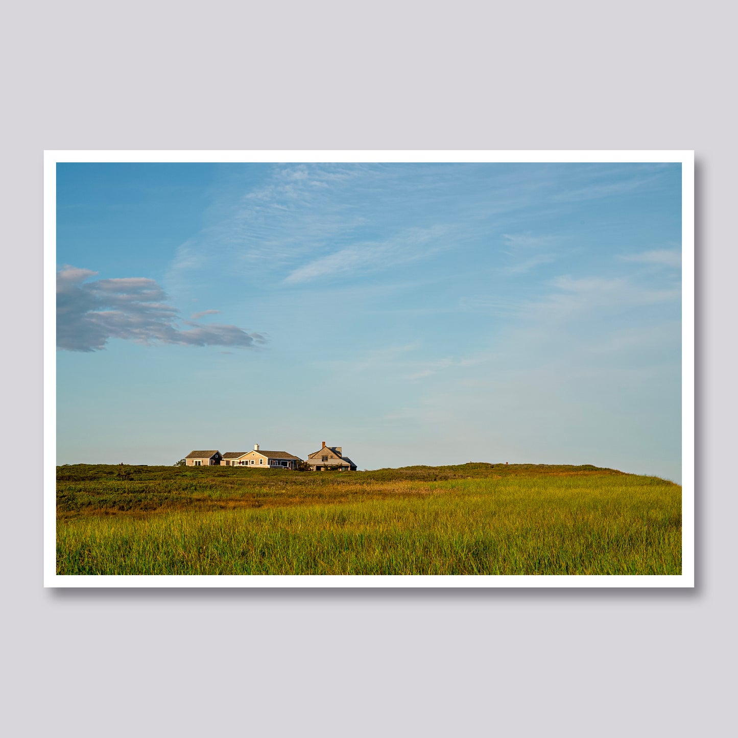 Island Prarie