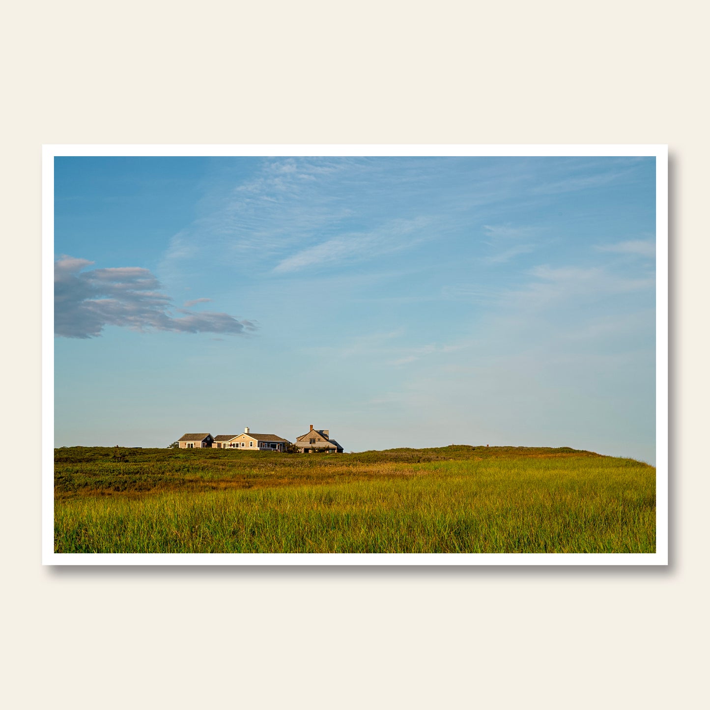 Island Prarie