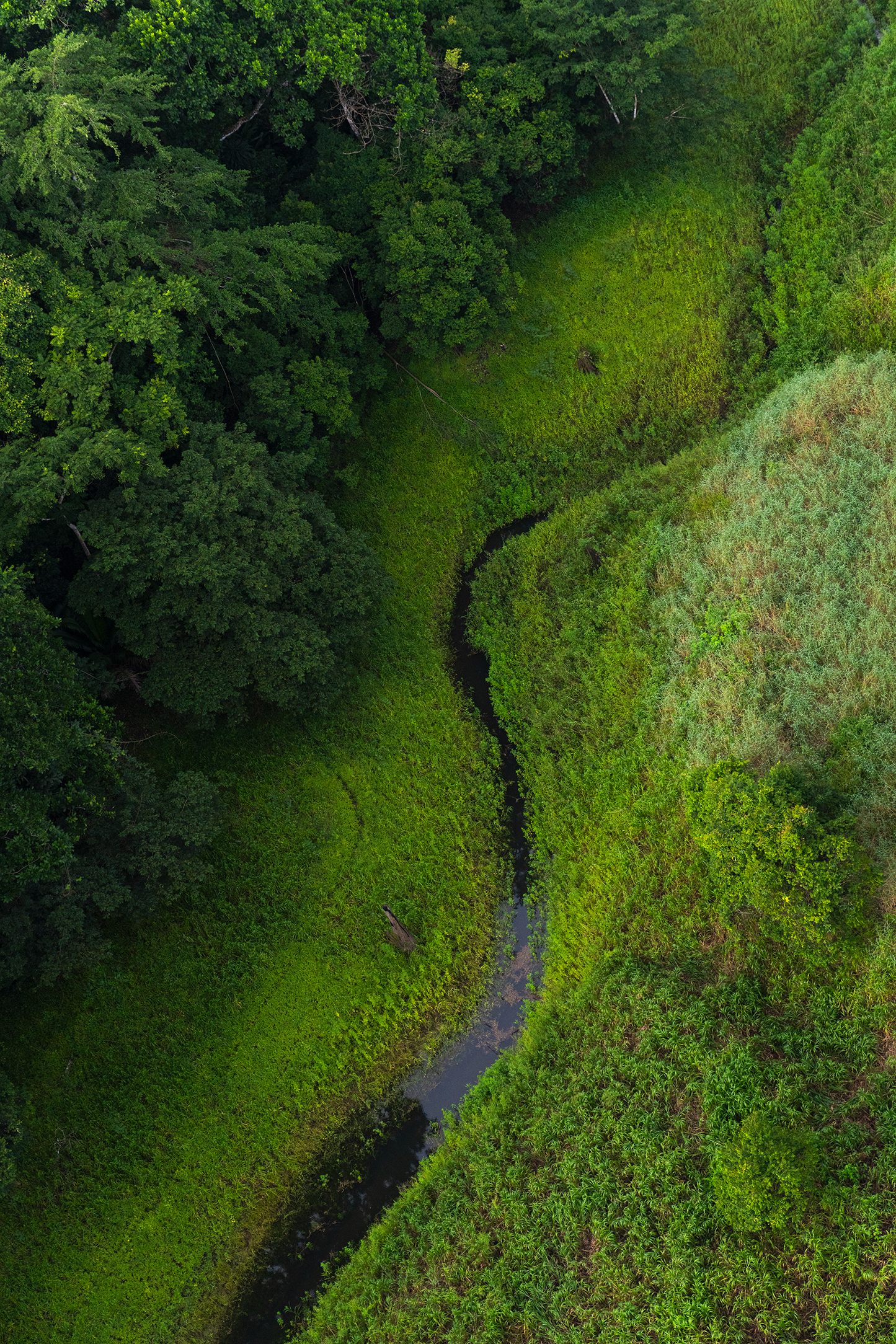 Meander