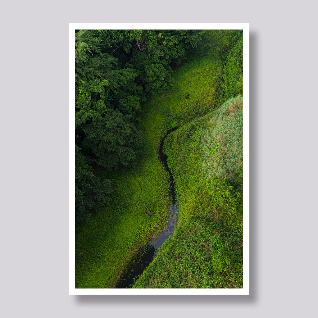 Meander