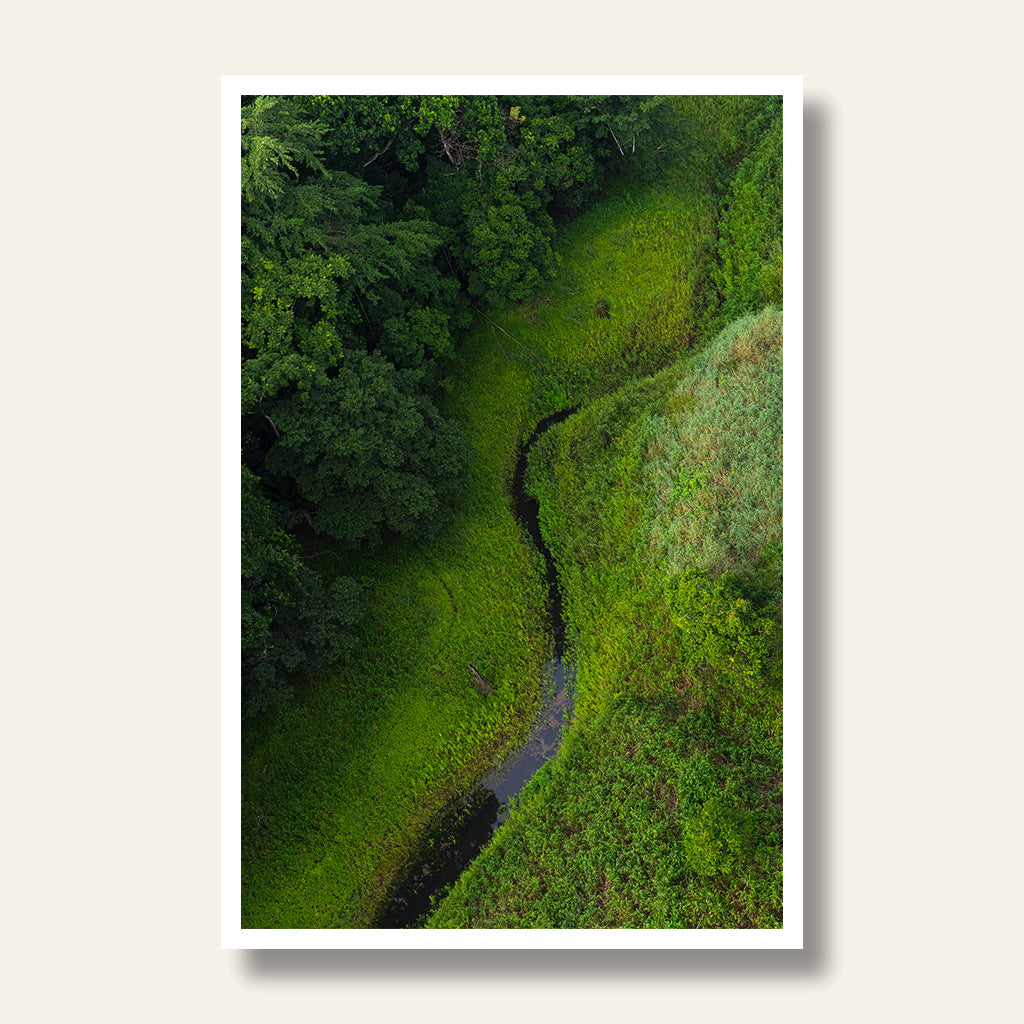Meander