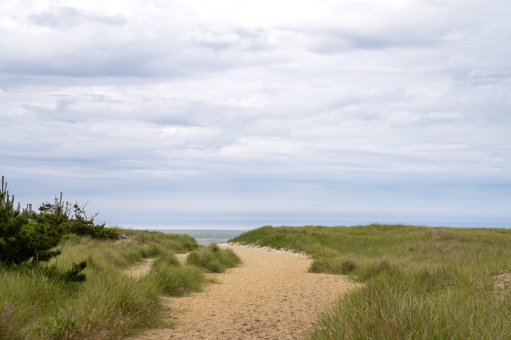 Morning Path | Nantucket