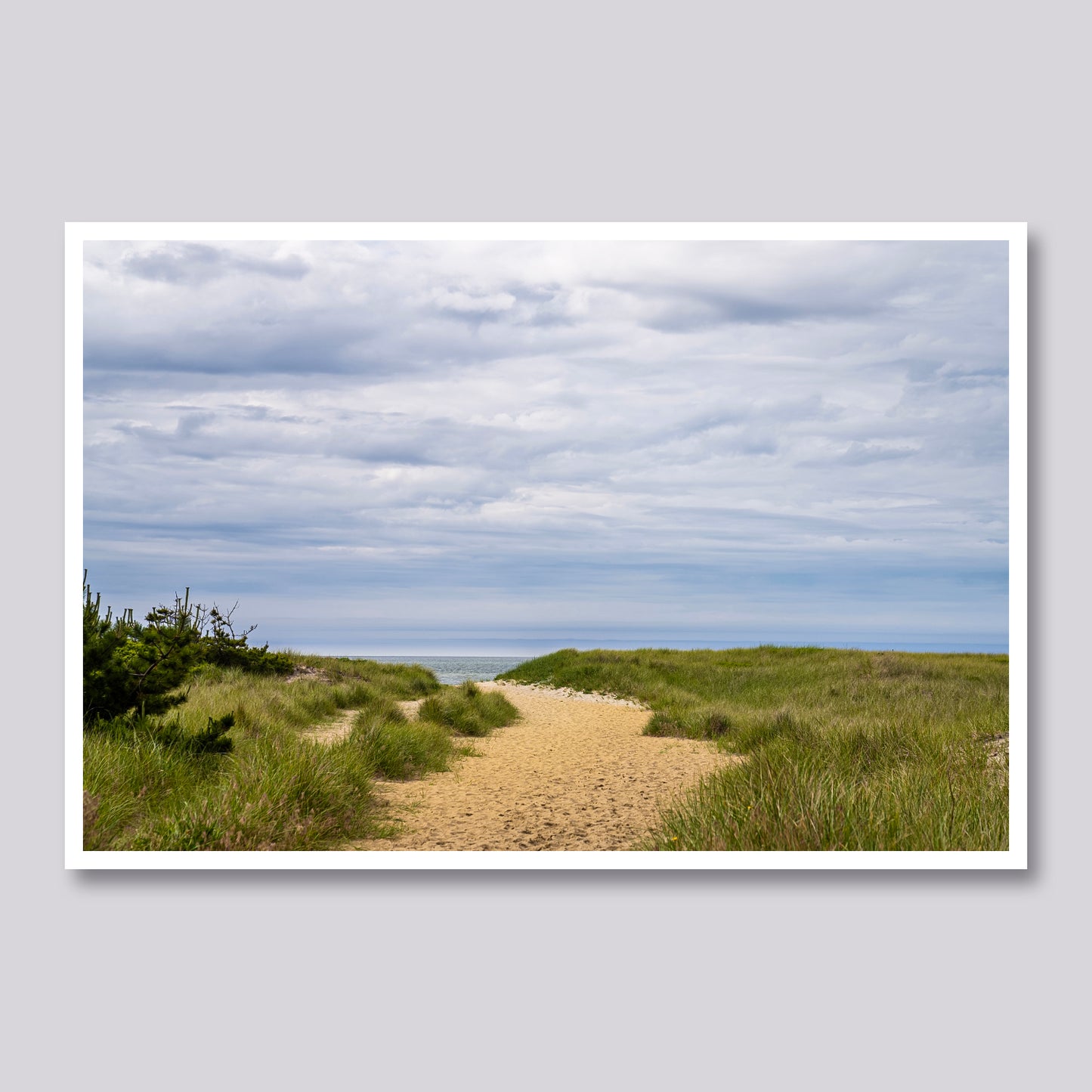 Morning Path | Nantucket