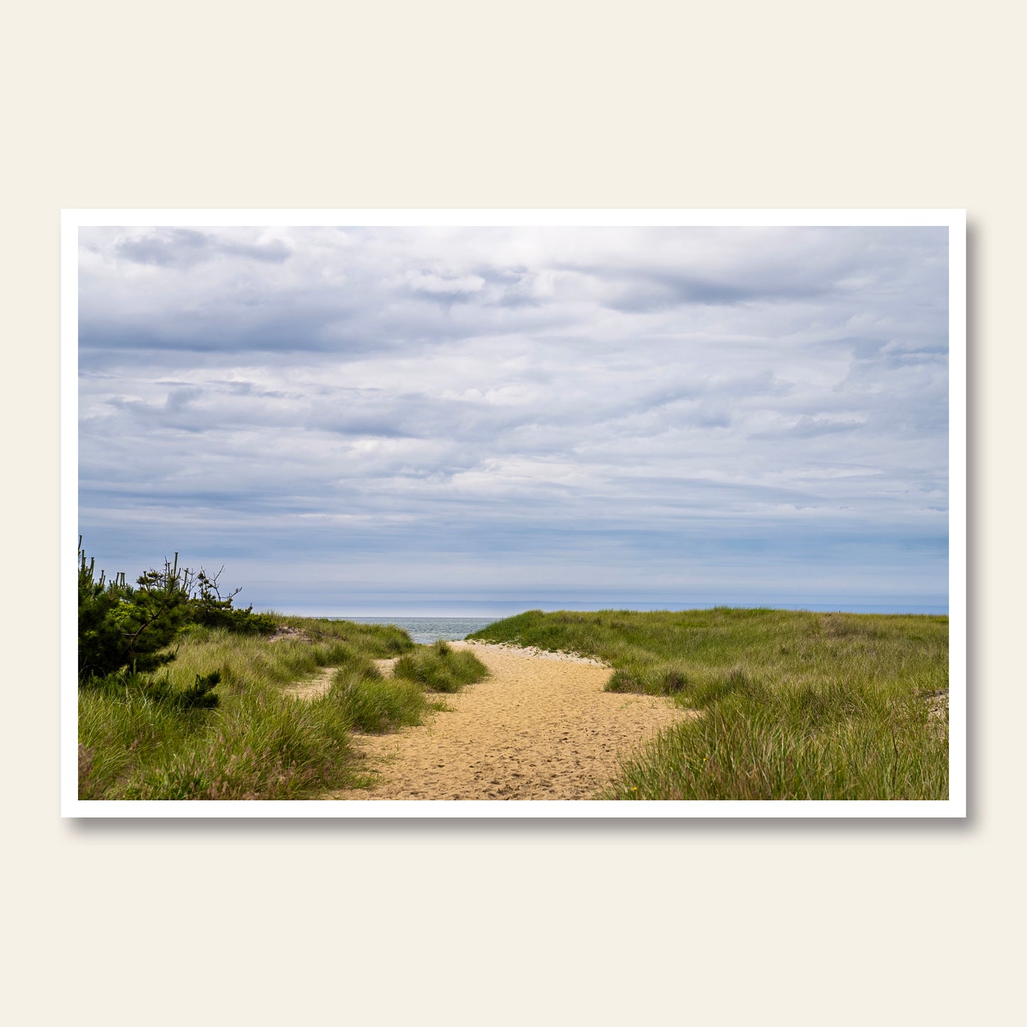 Morning Path | Nantucket