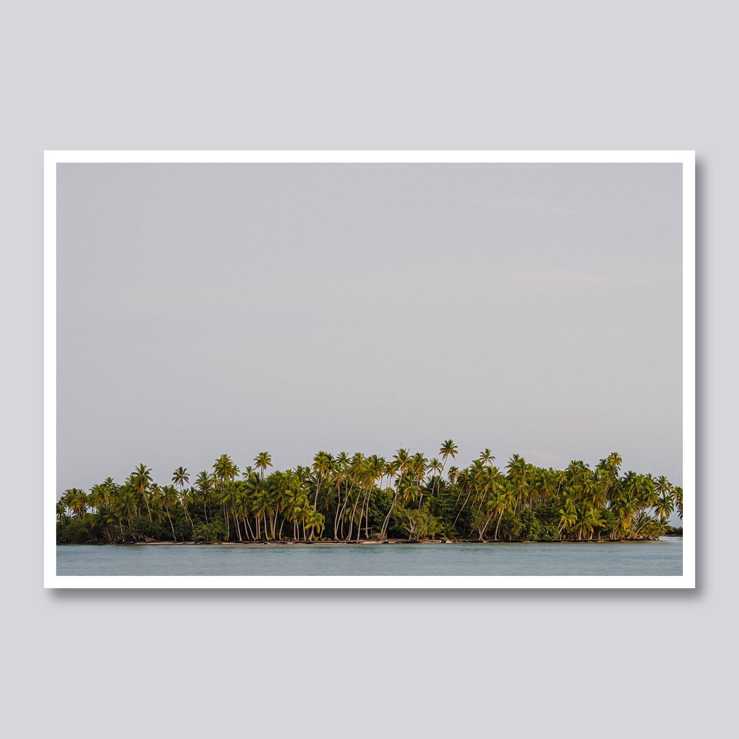 Pacific Escape