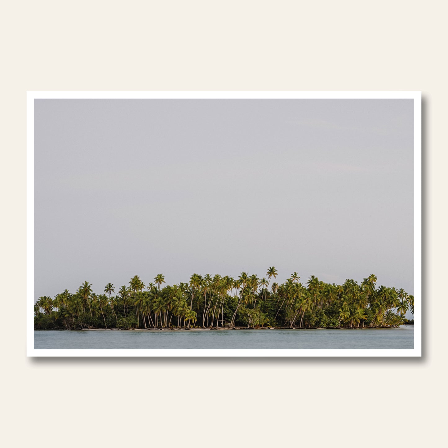 Pacific Escape