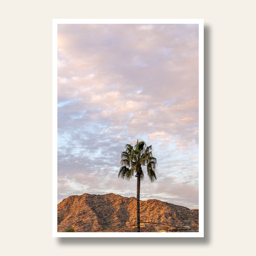 Palm Tree in the Sonoran Desert Vertical