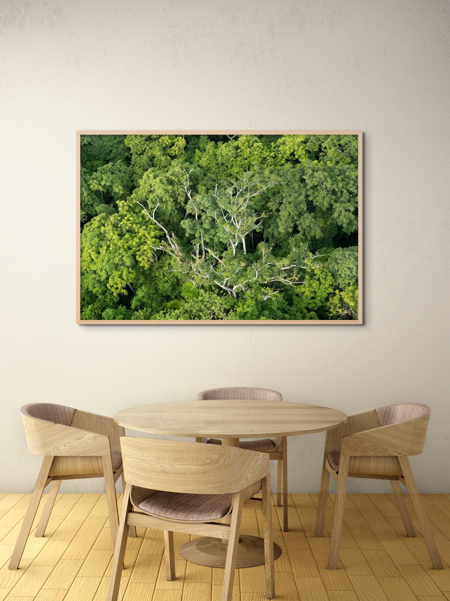 Rainforest Canopy