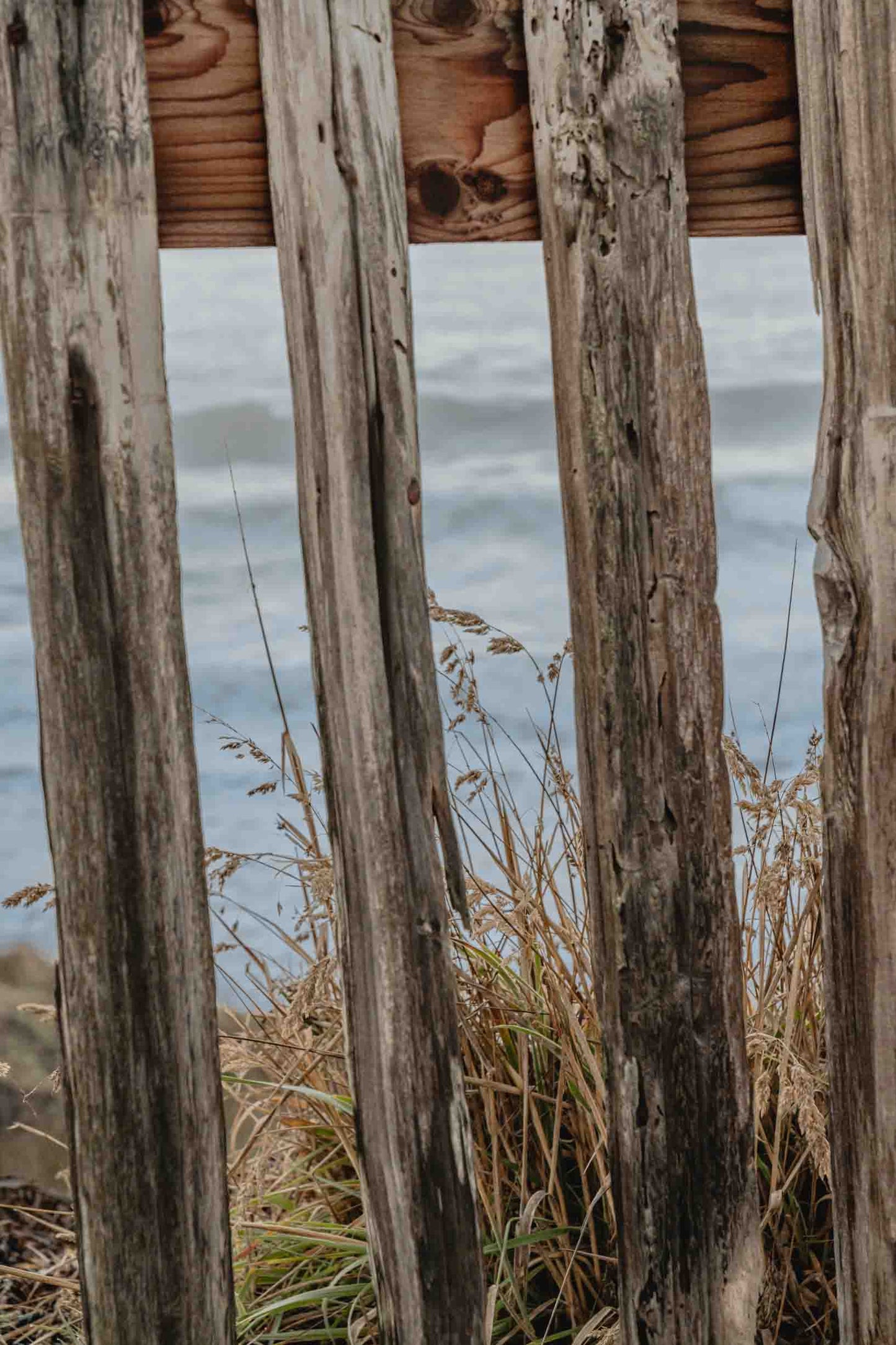 Salty Fence