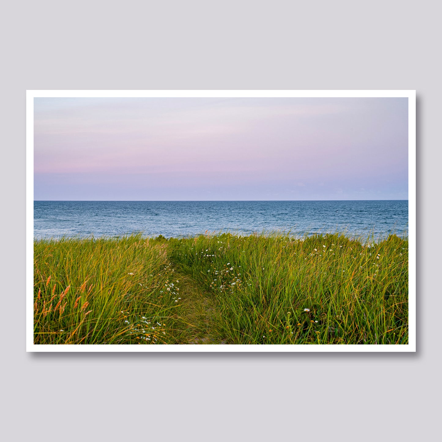 Summer's Path