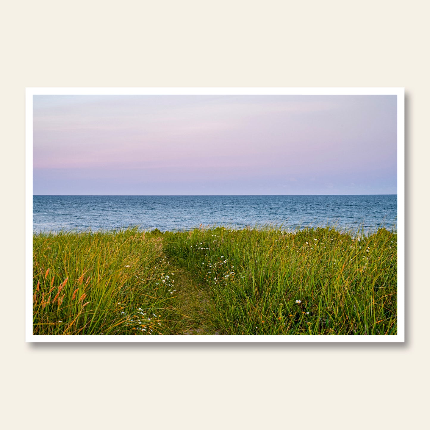 Summer's Path
