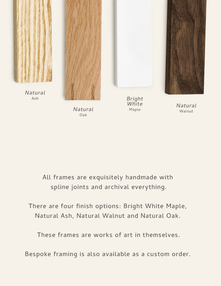 Artist's Palette