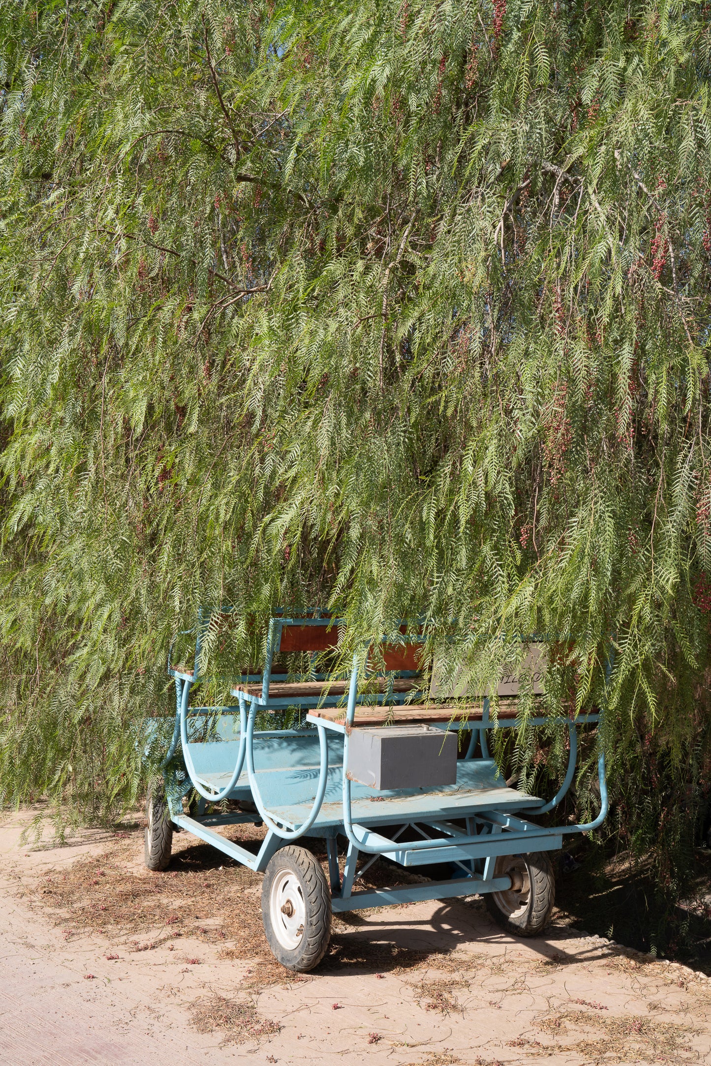 The Cart Waits