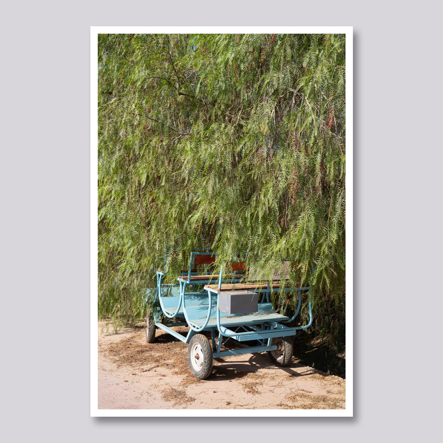 The Cart Waits