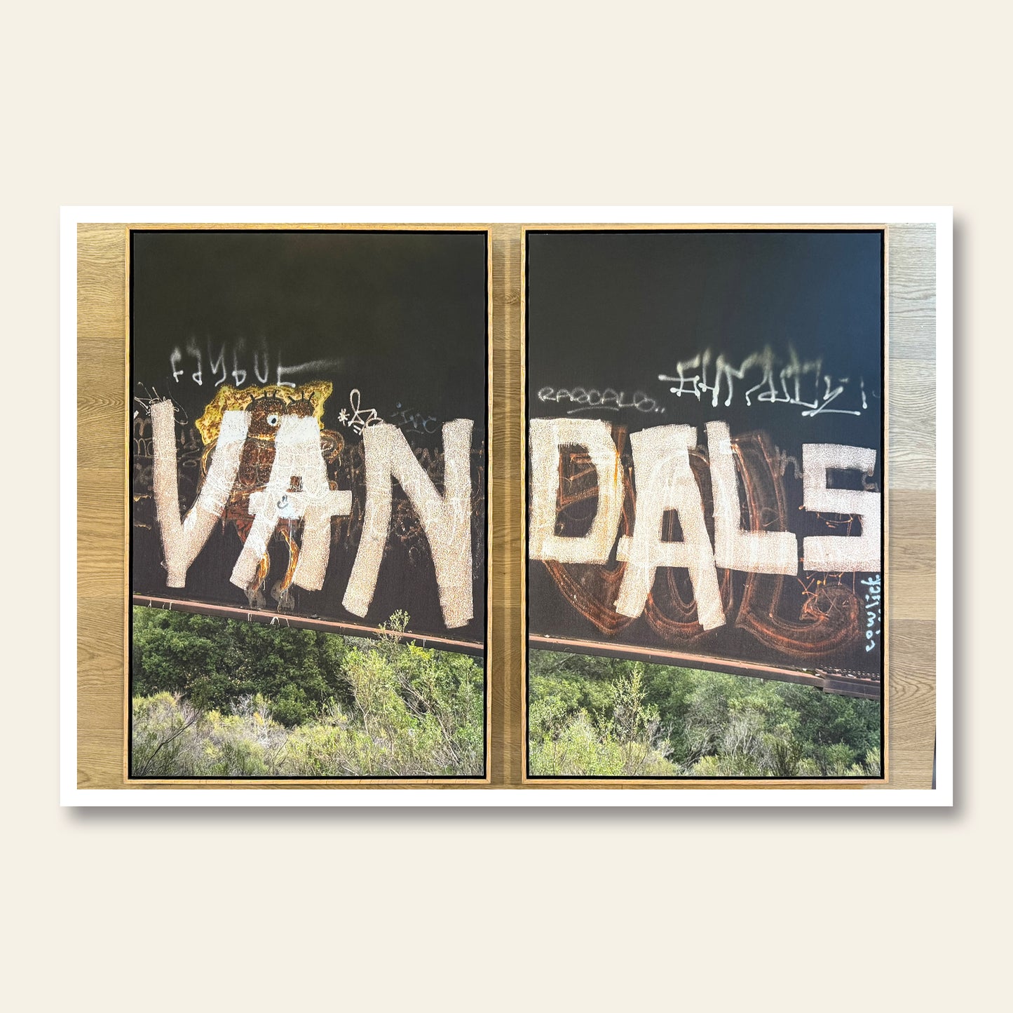 VAN-DALS