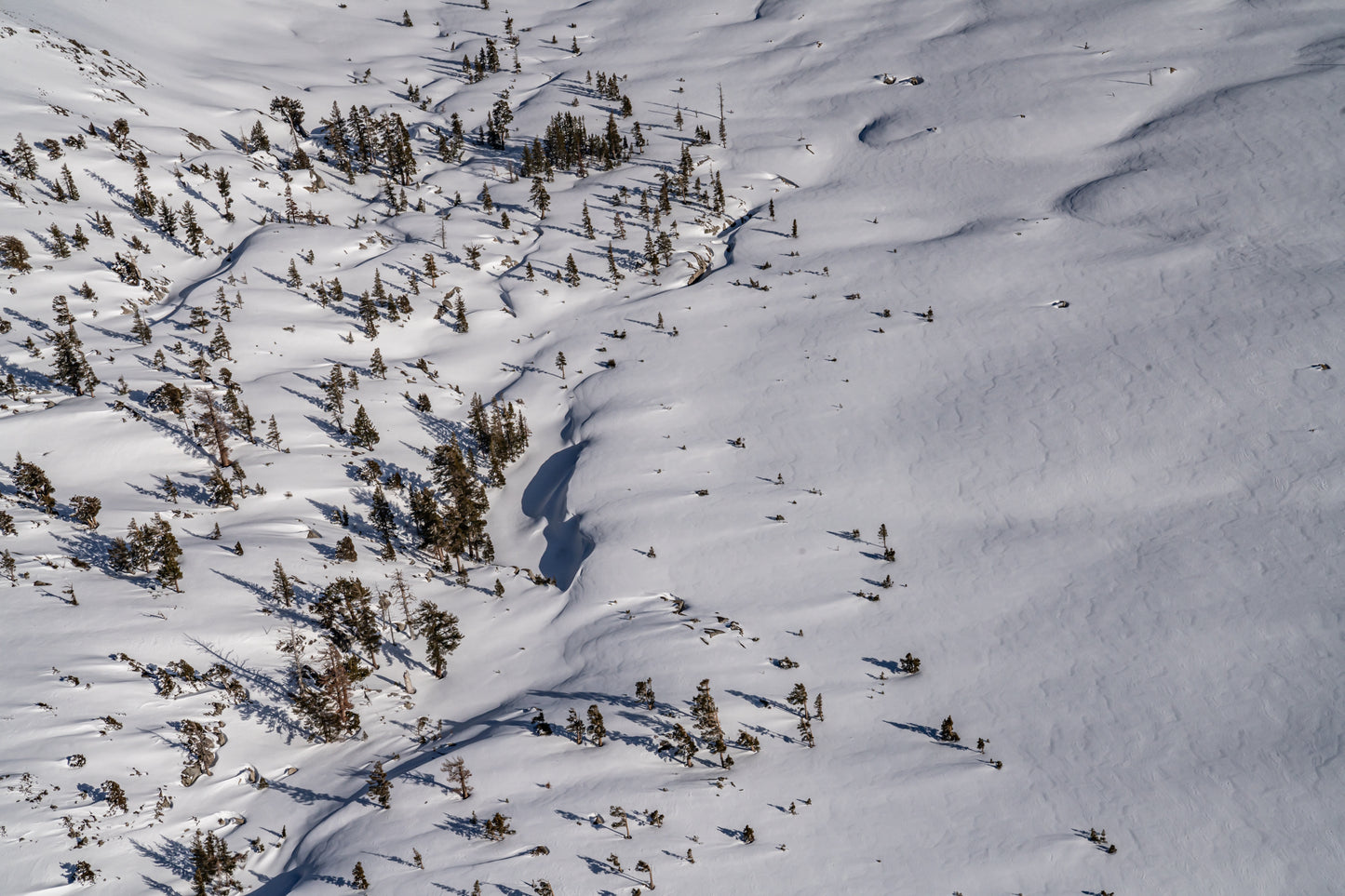 Winter's Blanket