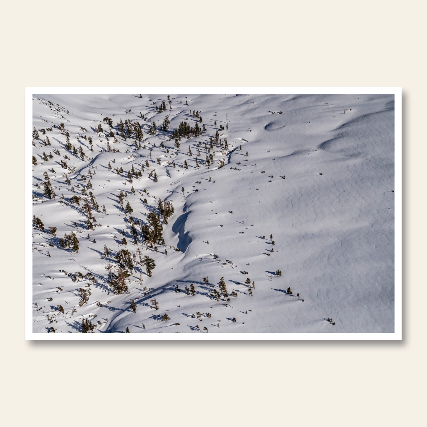 Winter's Blanket