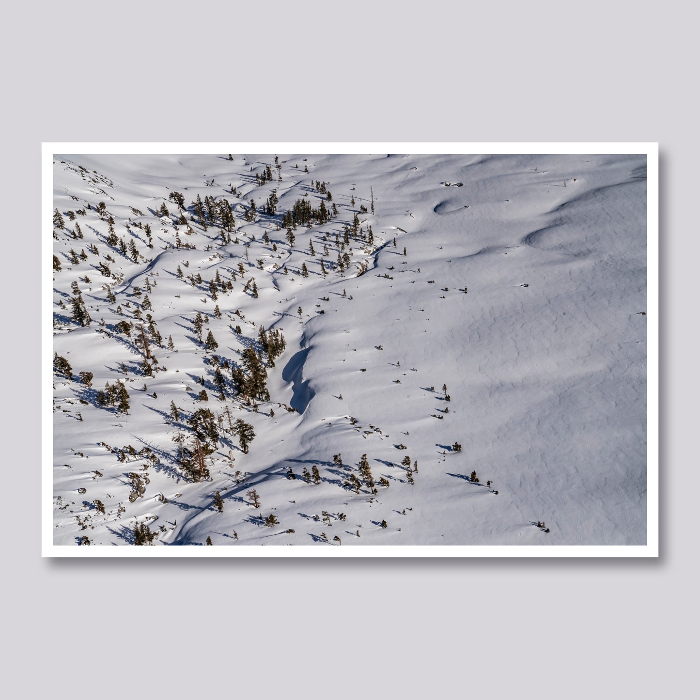 Winter's Blanket