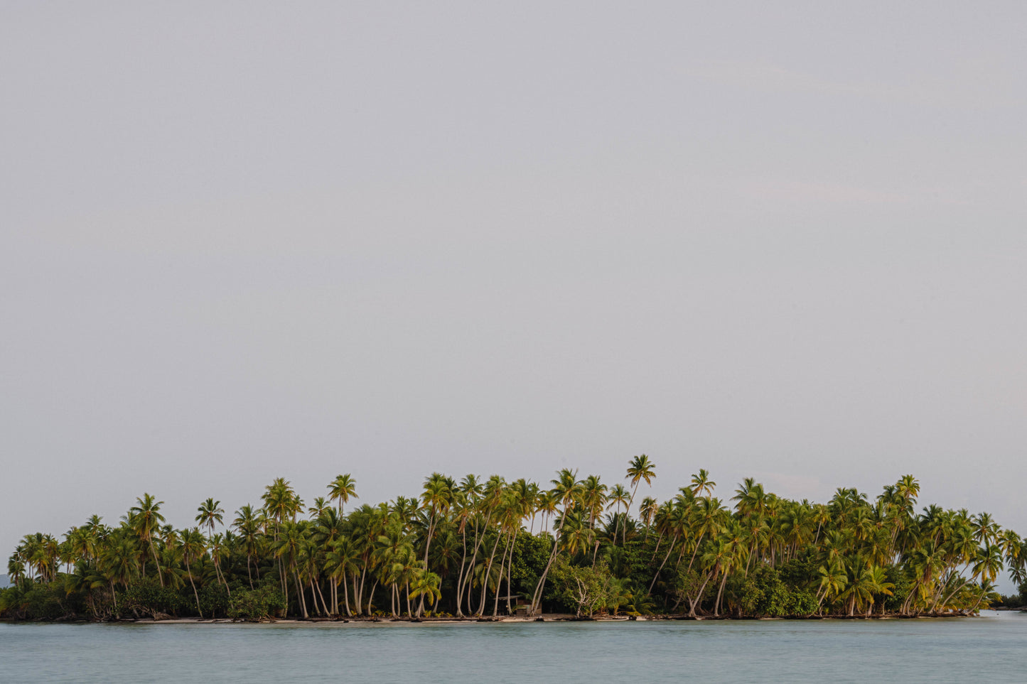 Pacific Escape