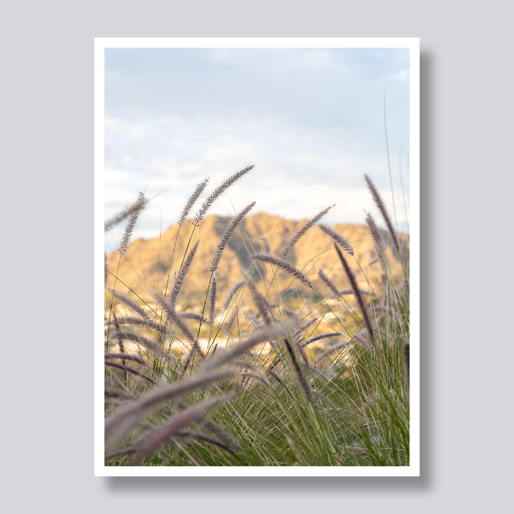 Camelback Mountain Portrait