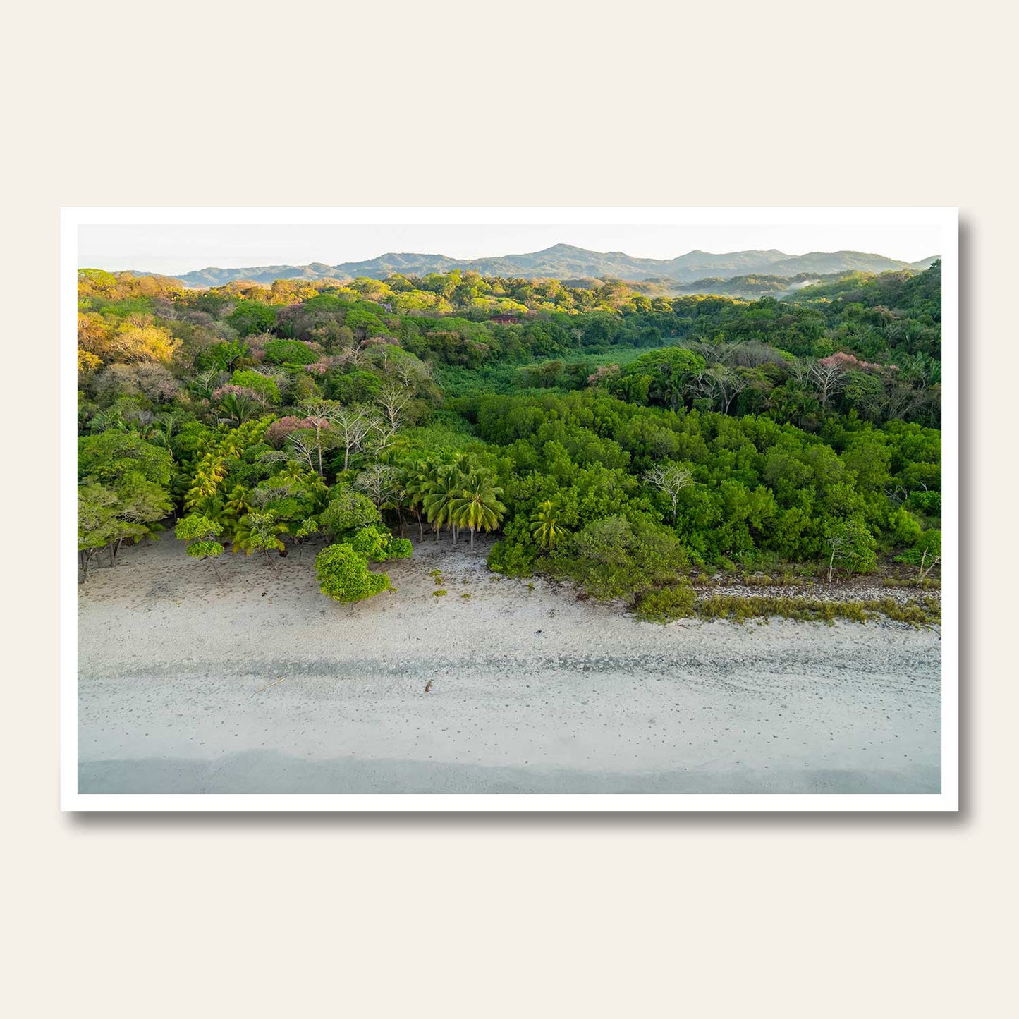 Beach, Jungle, Mountain