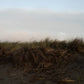 Dunes at Dusk