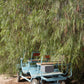 The Cart Waits