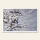 Winter's Blanket