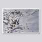 Winter's Blanket