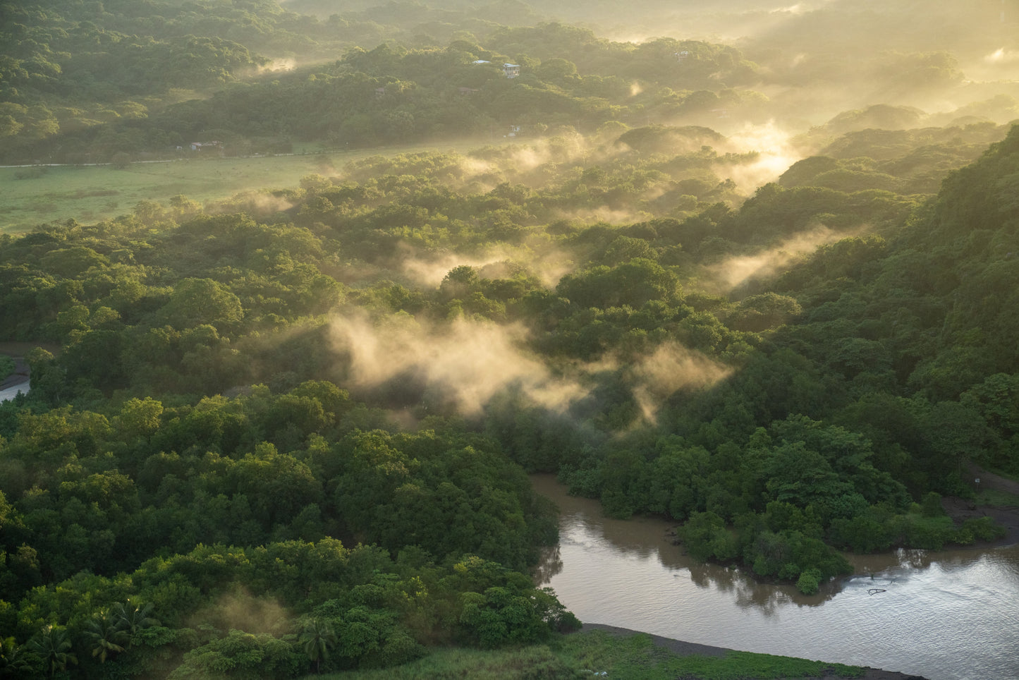 Morning Mist