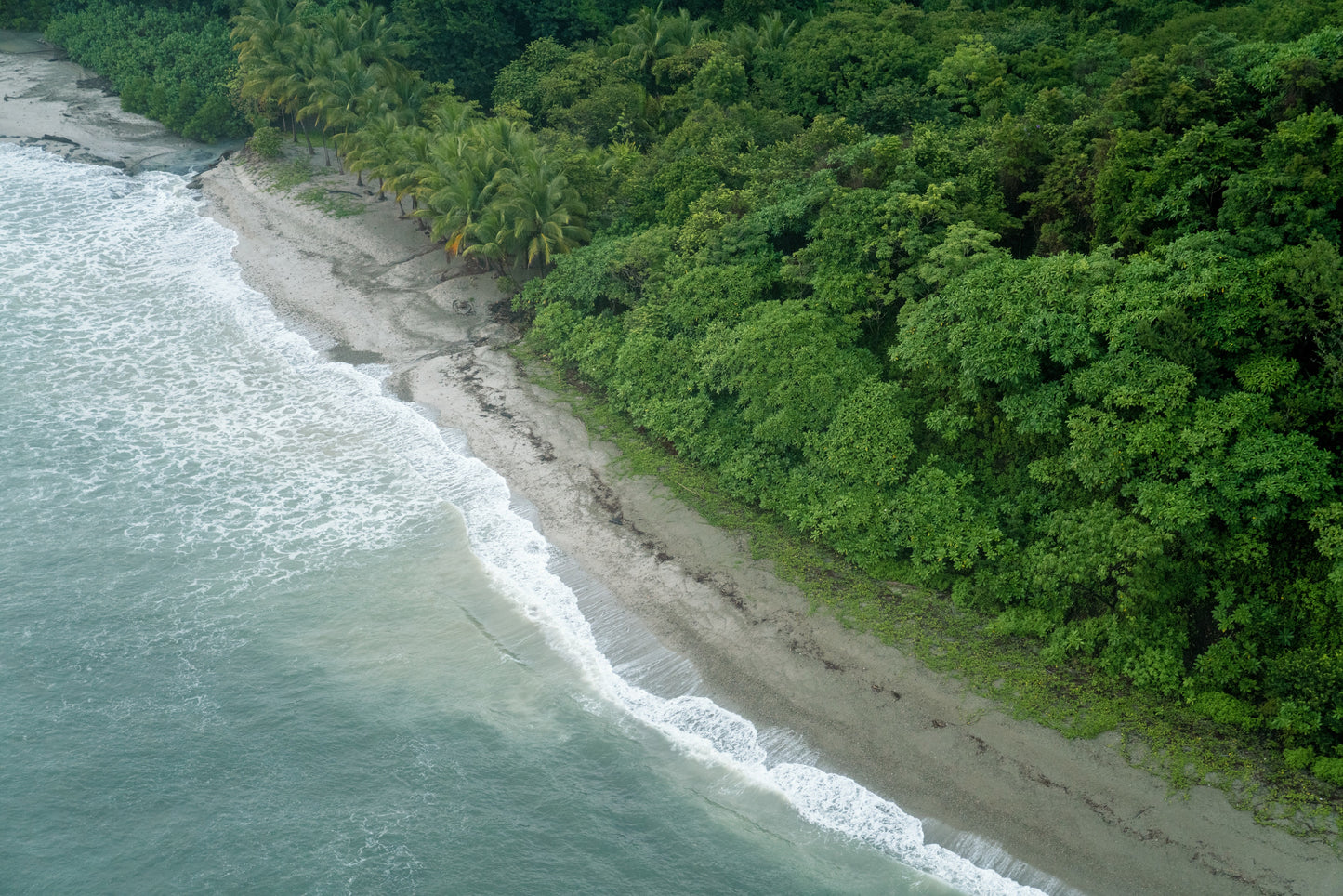 Ocean Meets Jungle