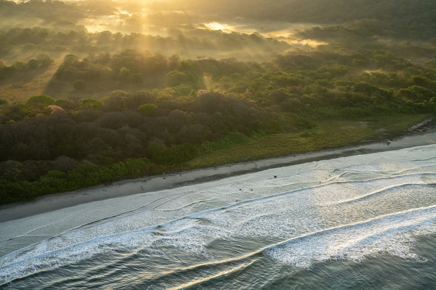 Ocean Morning Light