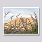 Camelback Mountain Landscape