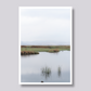 Reeds